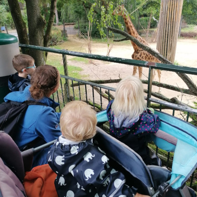 Zoo Basel