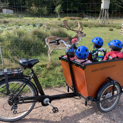 Unser Lastenrad